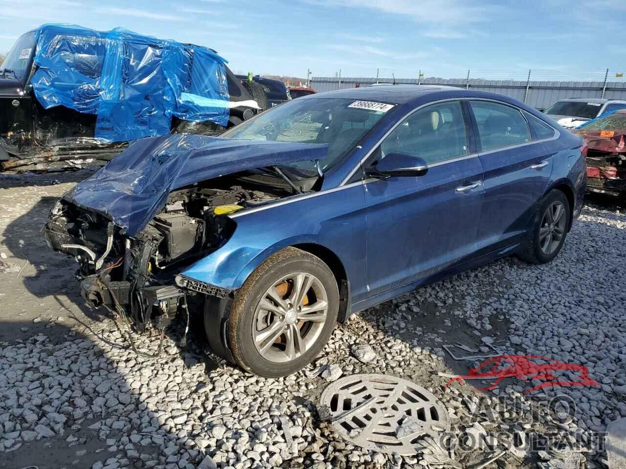 HYUNDAI SONATA 2019 - 5NPE34AFXKH807851