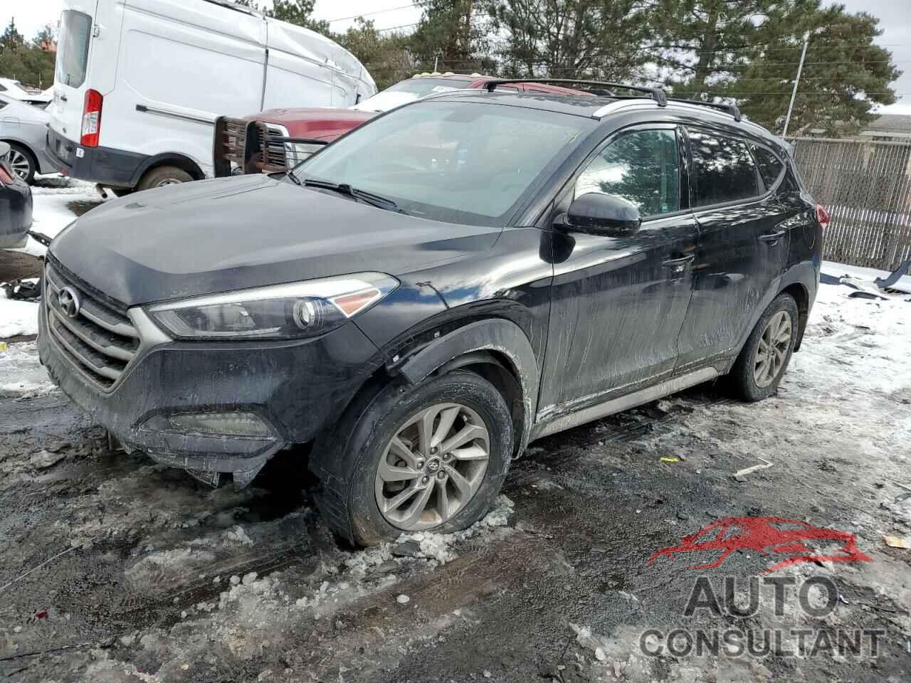 HYUNDAI TUCSON 2017 - KM8J33A48HU528870