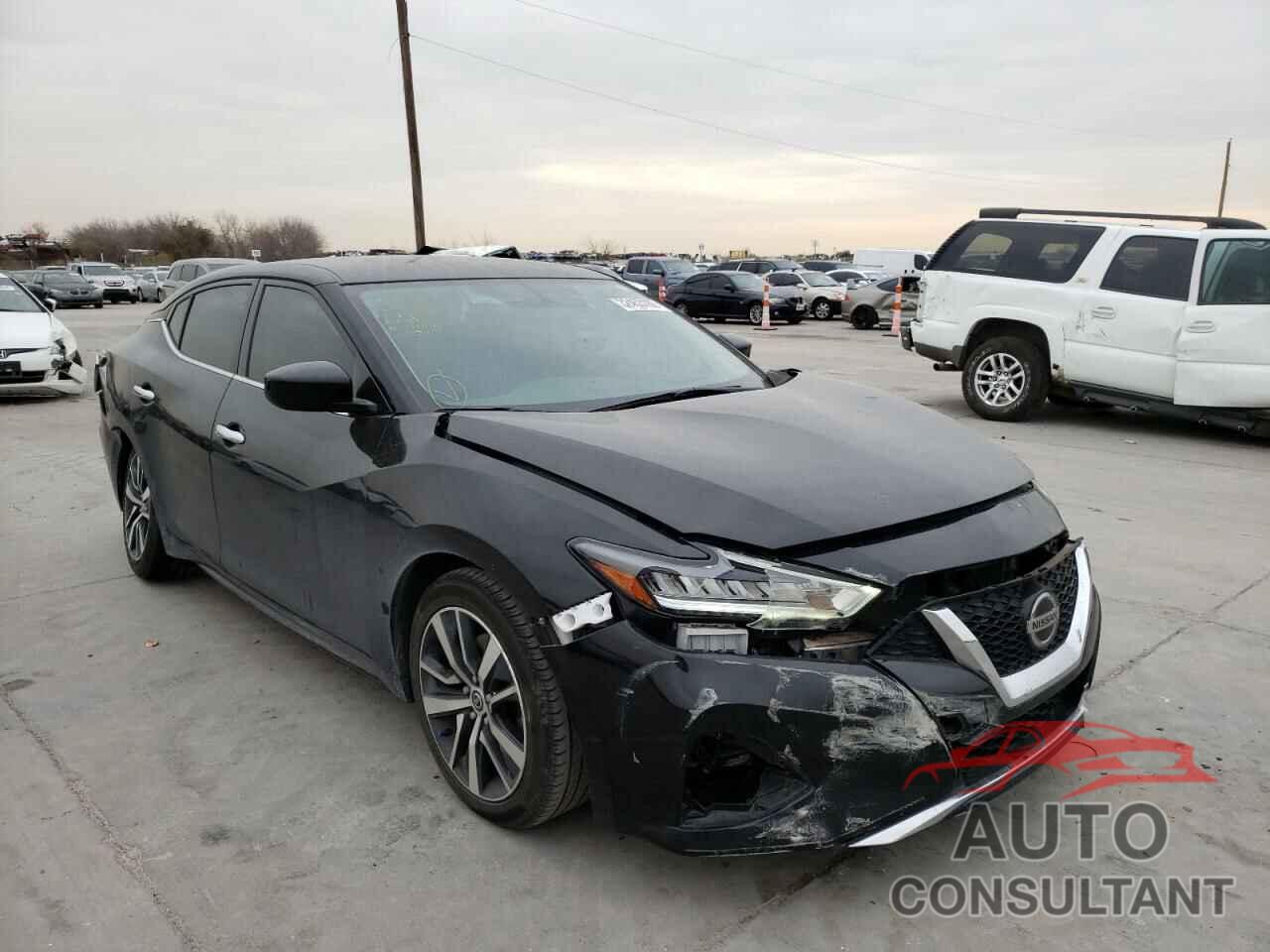 NISSAN MAXIMA 2019 - 1N4AA6AV4KC364508