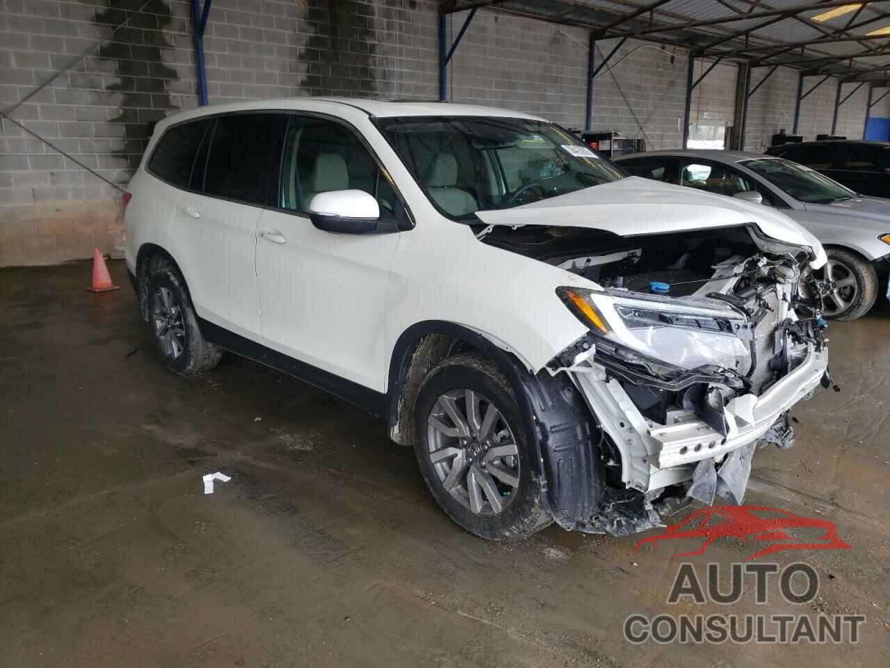 HONDA PILOT 2019 - 5FNYF5H52KB041023