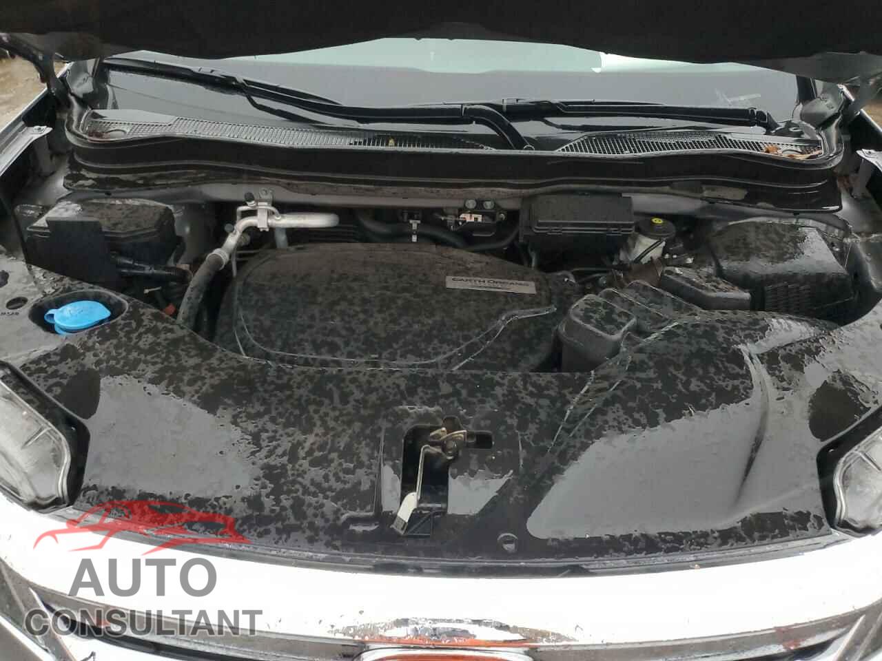 HONDA PILOT 2019 - 5FNYF6H51KB096228