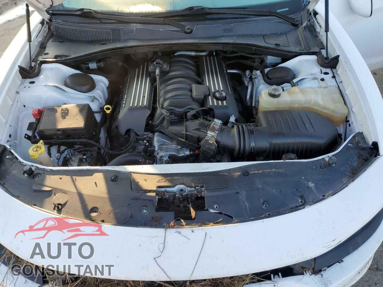 DODGE CHARGER 2019 - 2C3CDXGJ3KH554077