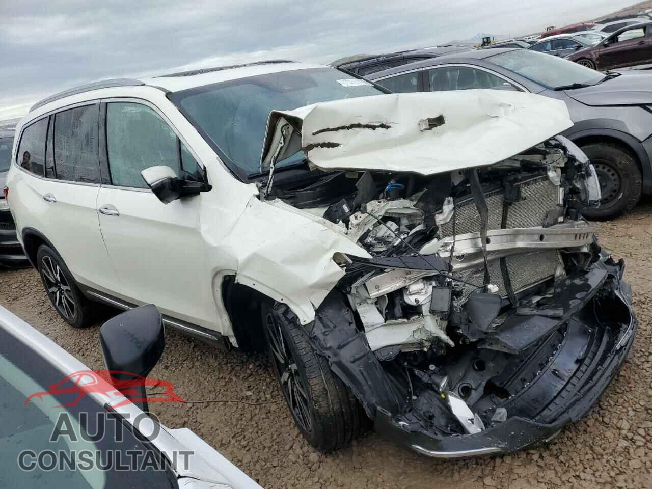 HONDA PILOT 2019 - 5FNYF6H92KB059255