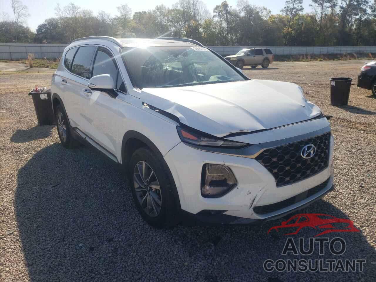 HYUNDAI SANTA FE 2020 - 5NMS53AD1LH177691