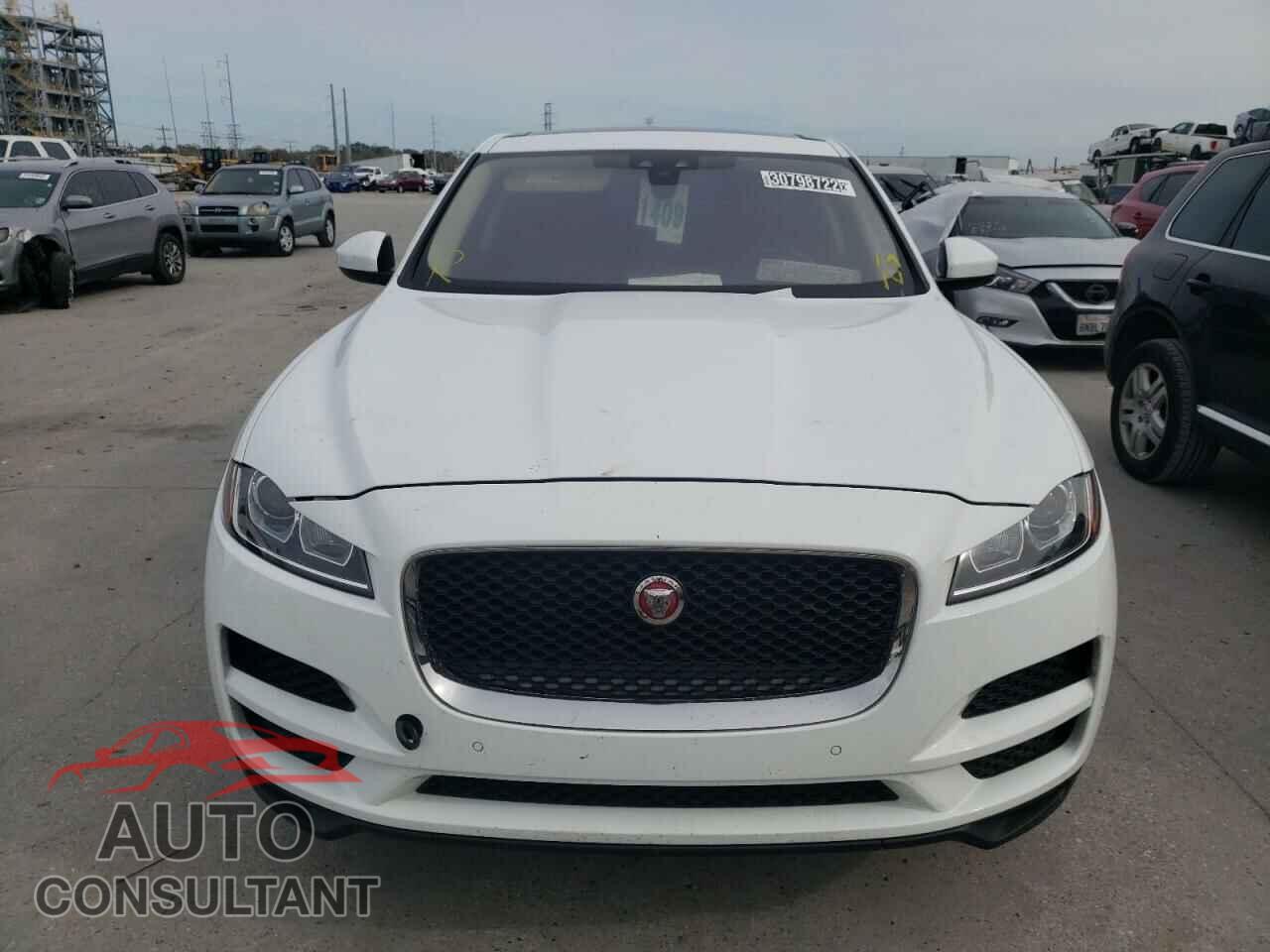 JAGUAR F-PACE 2020 - SADCS2FX4LA643476