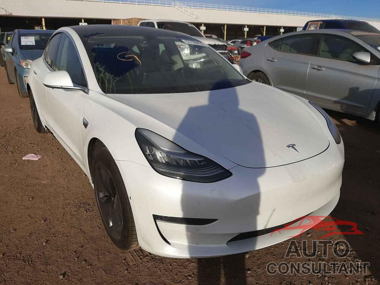 TESLA MODEL 3 2019 - 5YJ3E1EB0KF388091