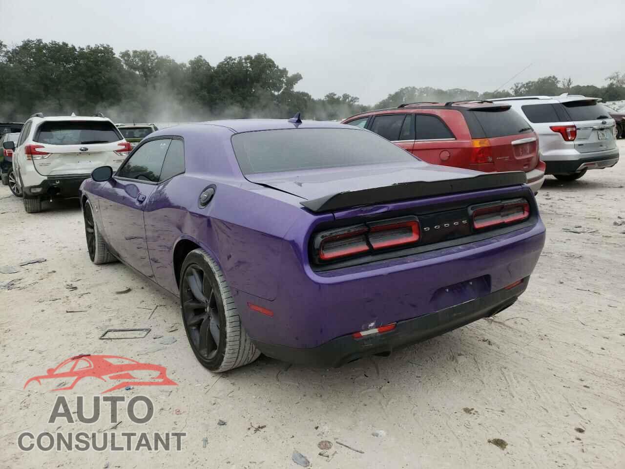 DODGE CHALLENGER 2019 - 2C3CDZFJ2KH552236