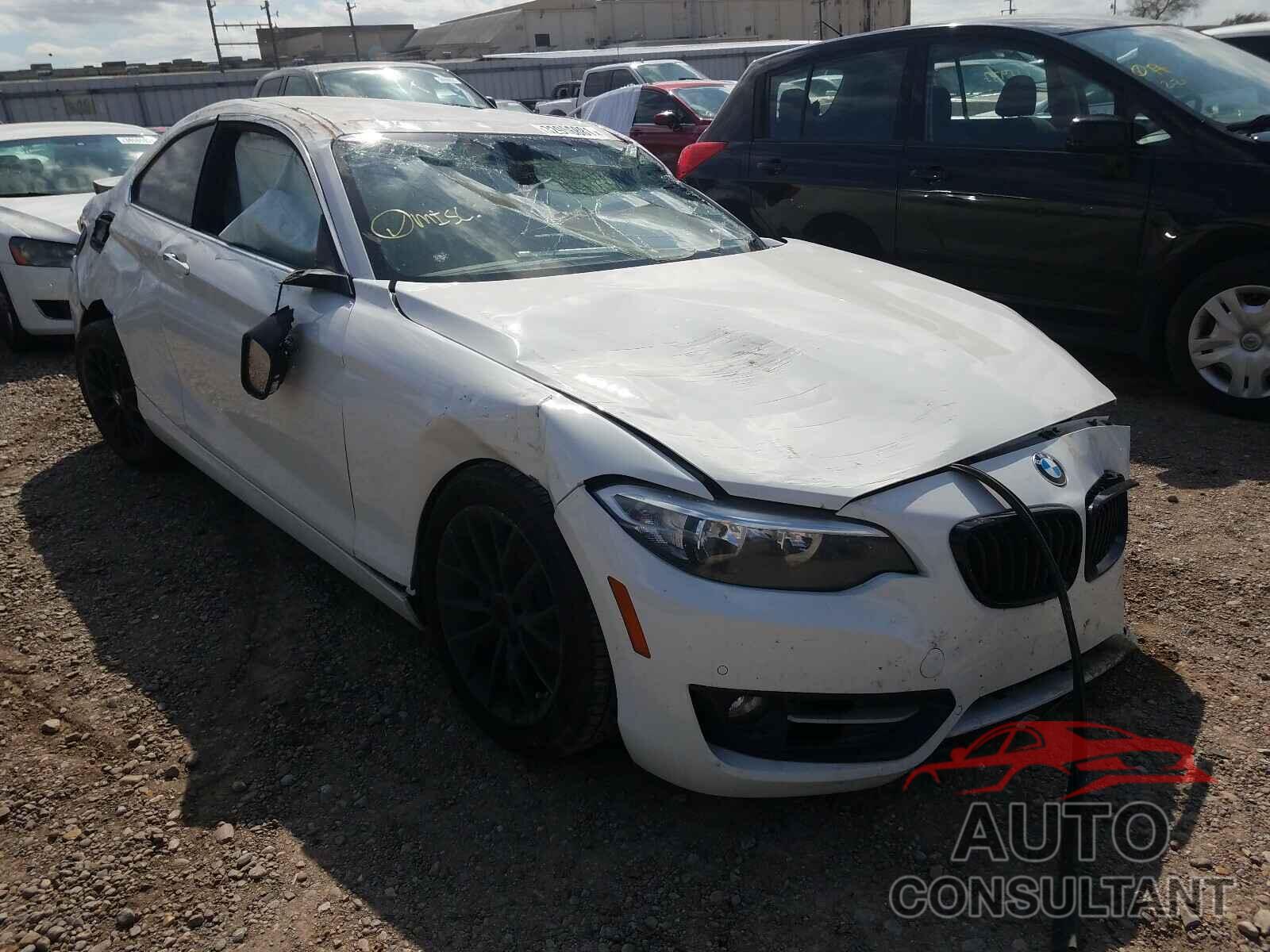 BMW 2 SERIES 2016 - WBA1F9C56GV546035