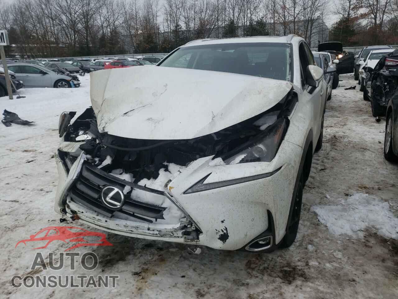 LEXUS NX 2017 - JTJBARBZ2H2099178