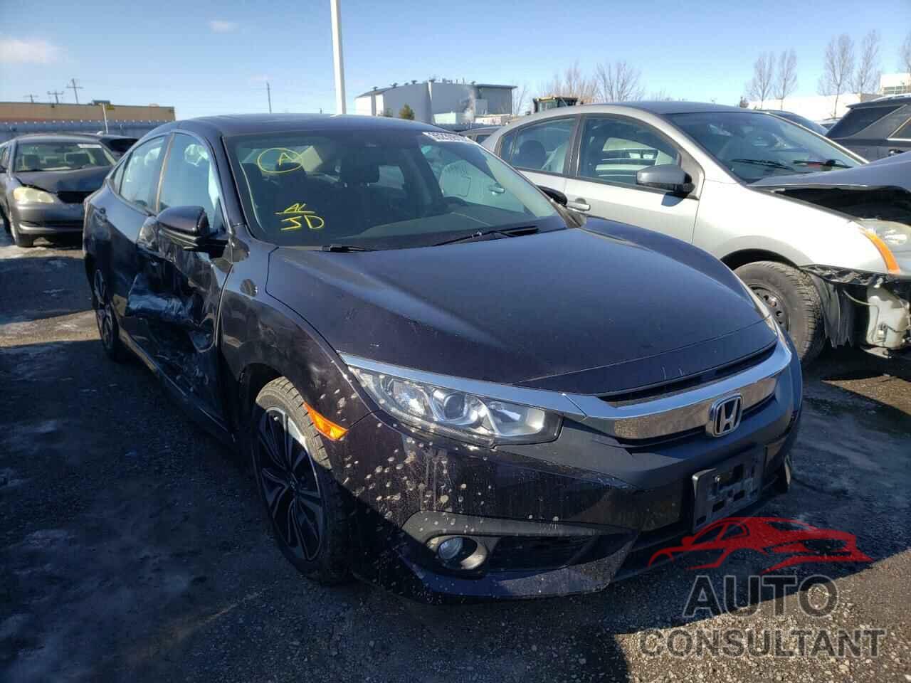 HONDA CIVIC 2016 - 2HGFC1F43GH103230