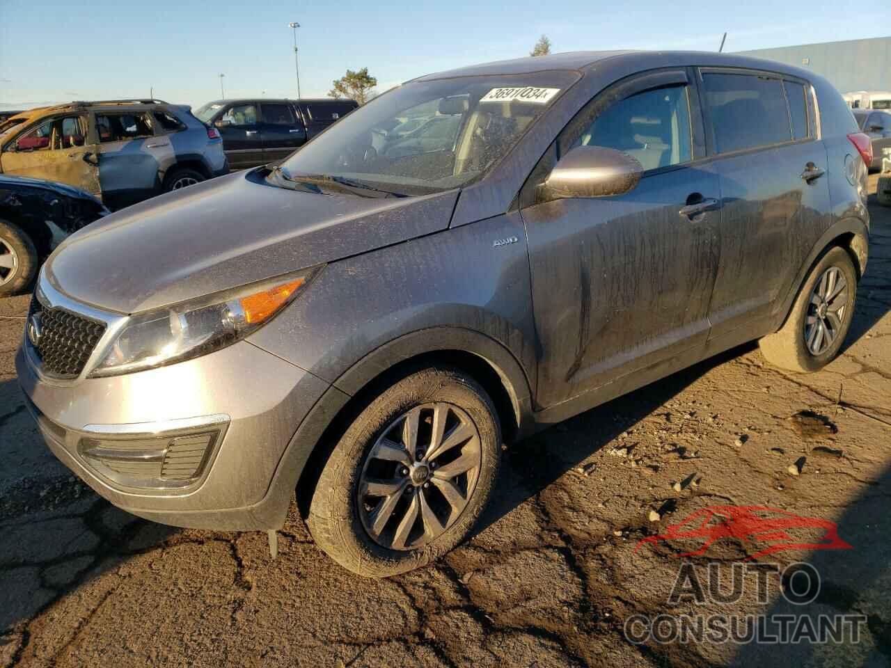 KIA SPORTAGE 2016 - KNDPBCAC2G7835117