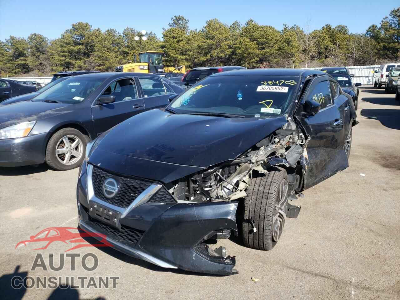 NISSAN MAXIMA 2019 - 1N4AA6AV3KC384703