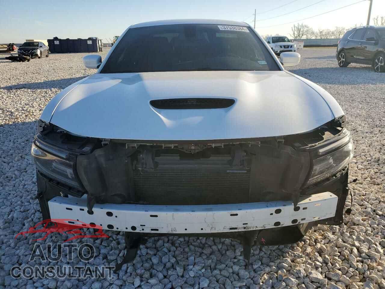 DODGE CHARGER 2019 - 2C3CDXGJ5KH530735