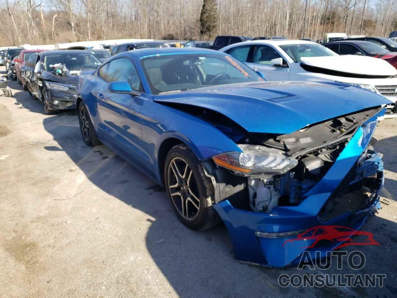 FORD MUSTANG 2019 - 1FA6P8THXK5201194
