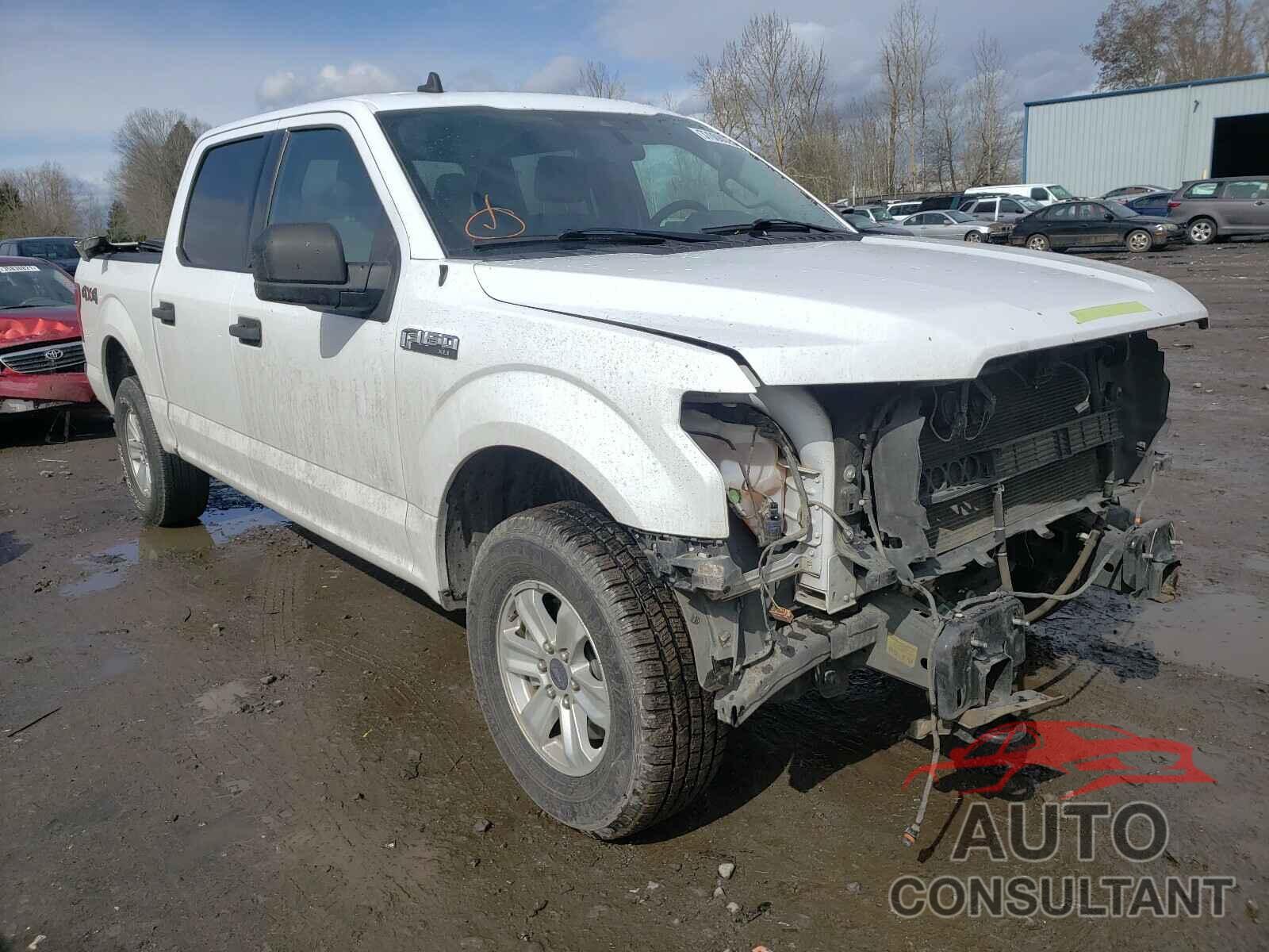 FORD F150 2019 - 1FTEW1EB9KKC37646