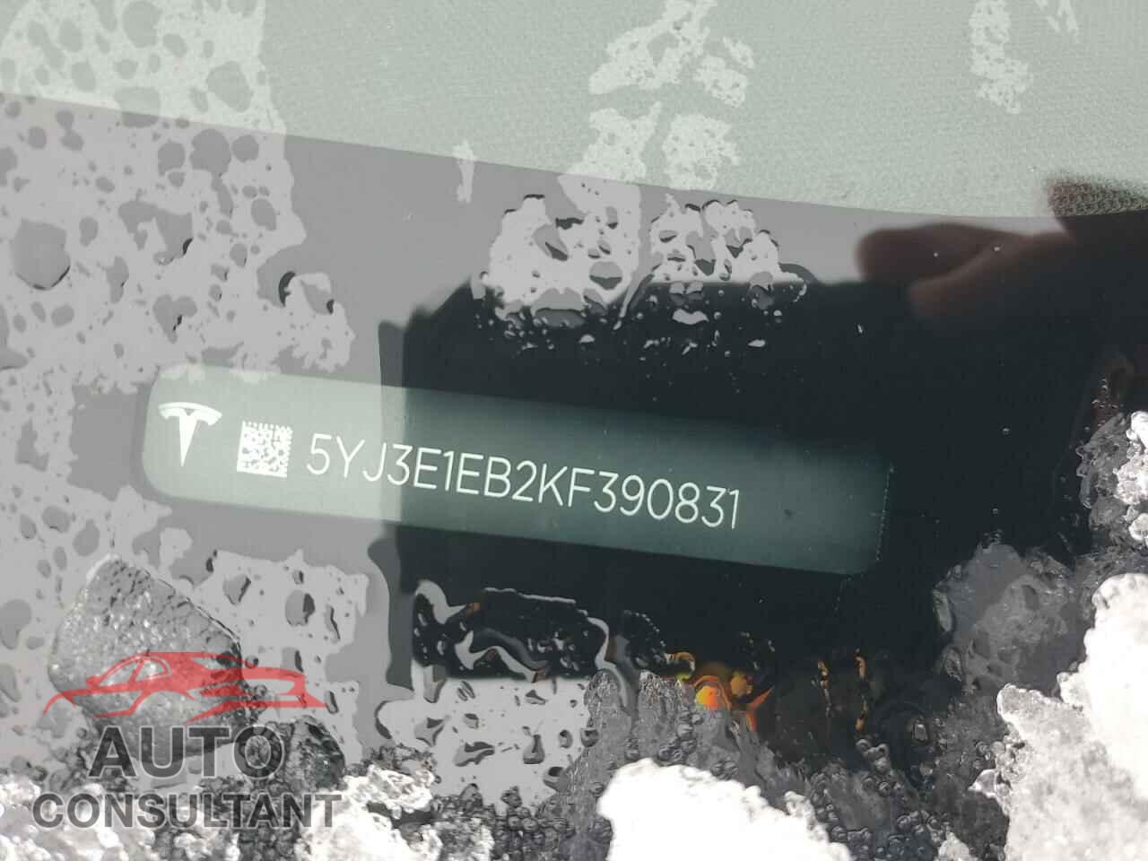 TESLA MODEL 3 2019 - 5YJ3E1EB2KF390831