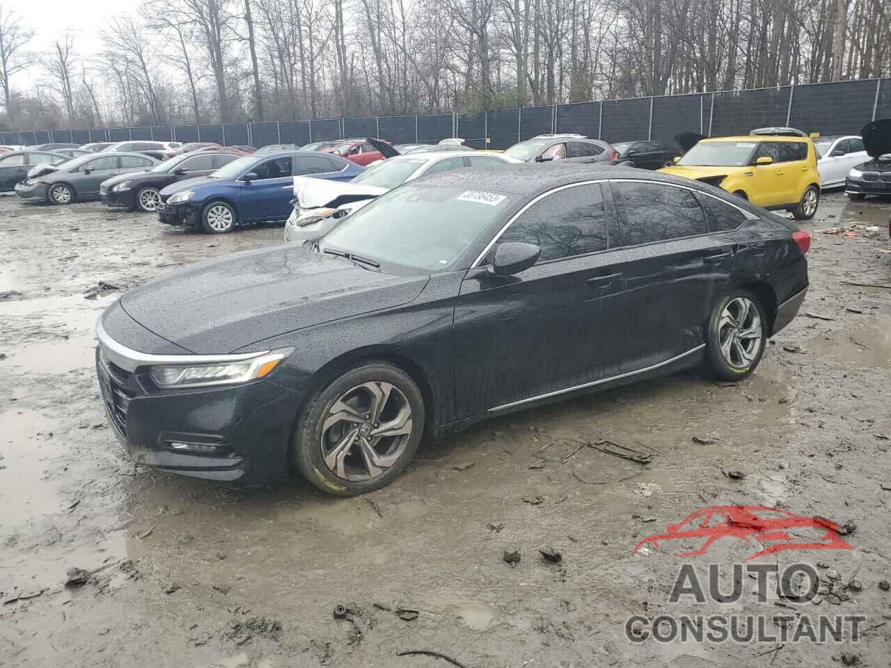 HONDA ACCORD 2019 - 1HGCV1F42KA002846