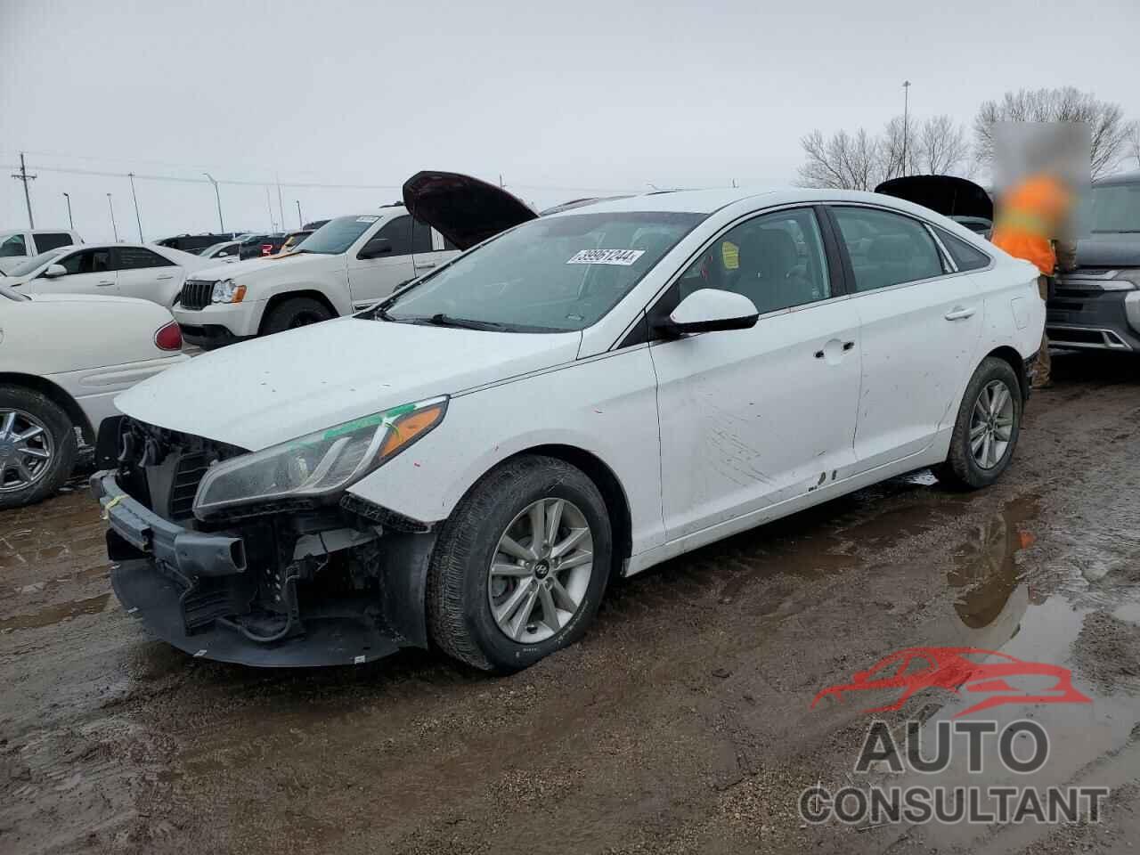 HYUNDAI SONATA 2017 - 5NPE24AF2HH537879