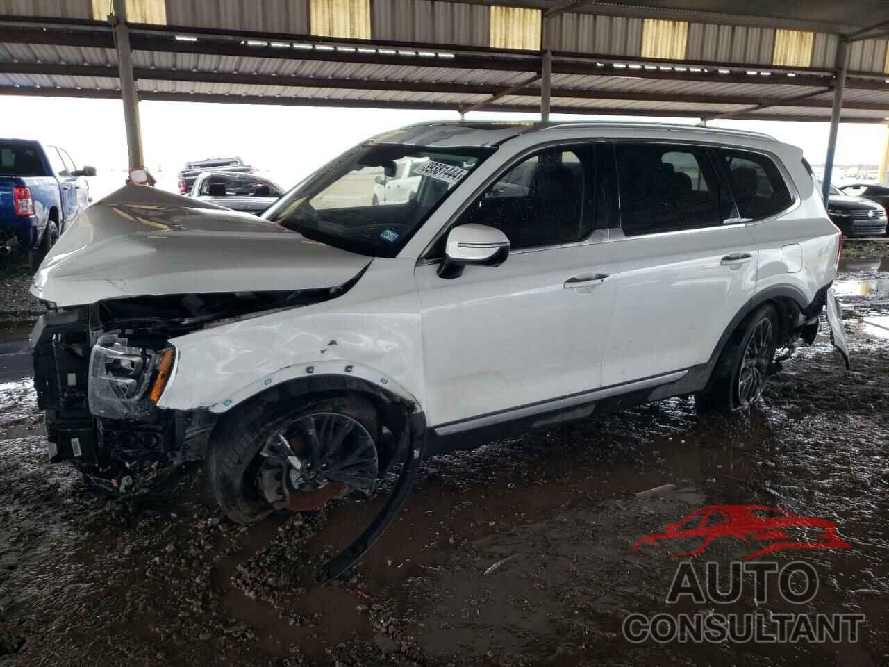 KIA TELLURIDE 2020 - 5XYP54HCXLG036072