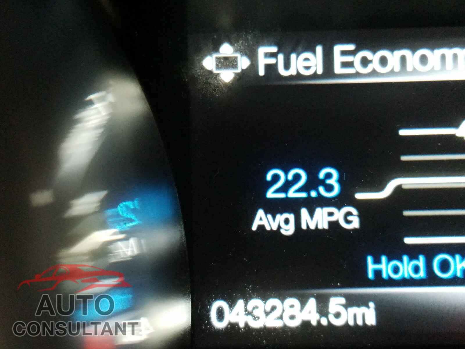 FORD MUSTANG 2019 - 1FA6P8CF4K5144182