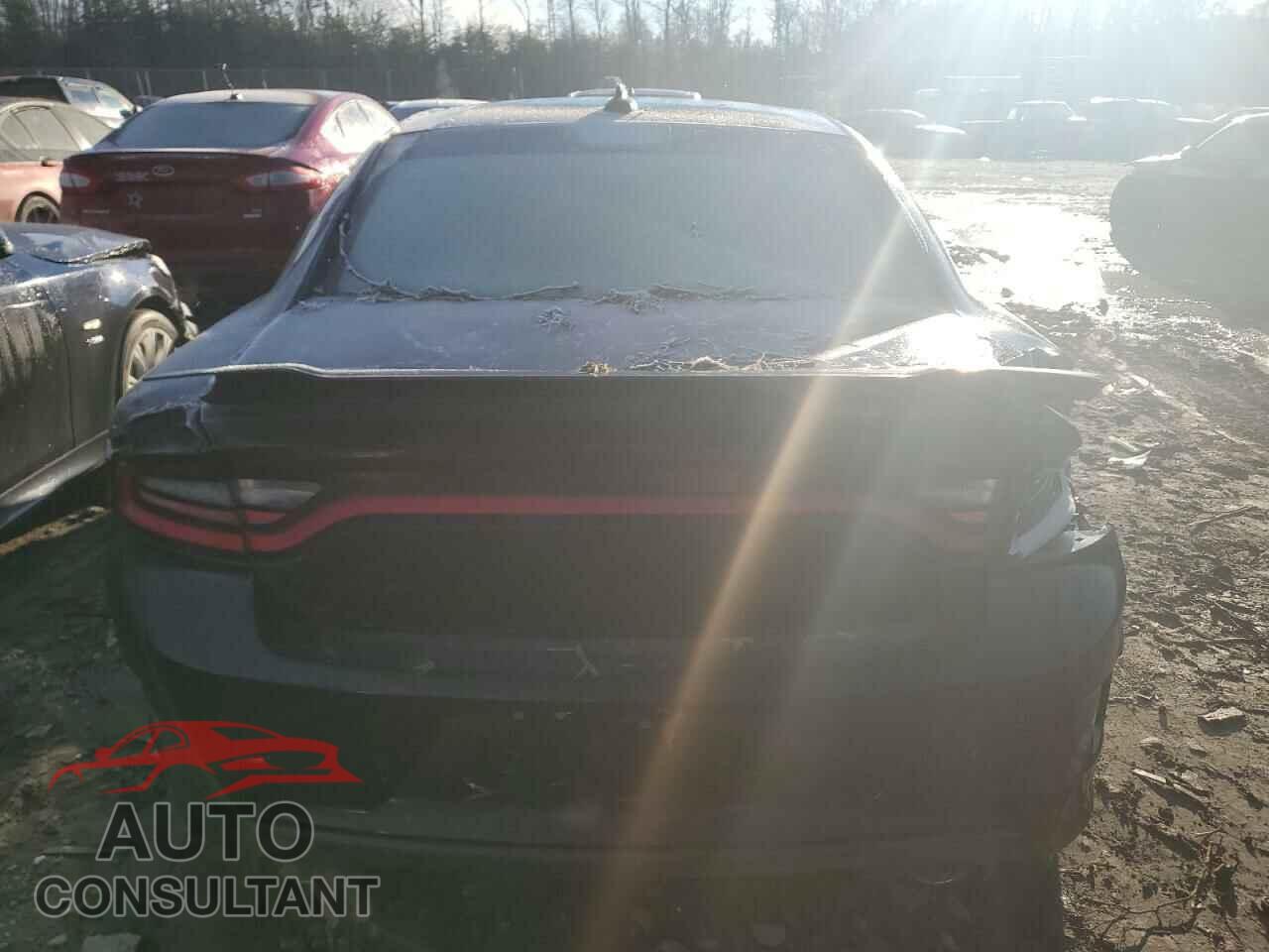 DODGE CHARGER 2021 - 2C3CDXGJ0MH559210