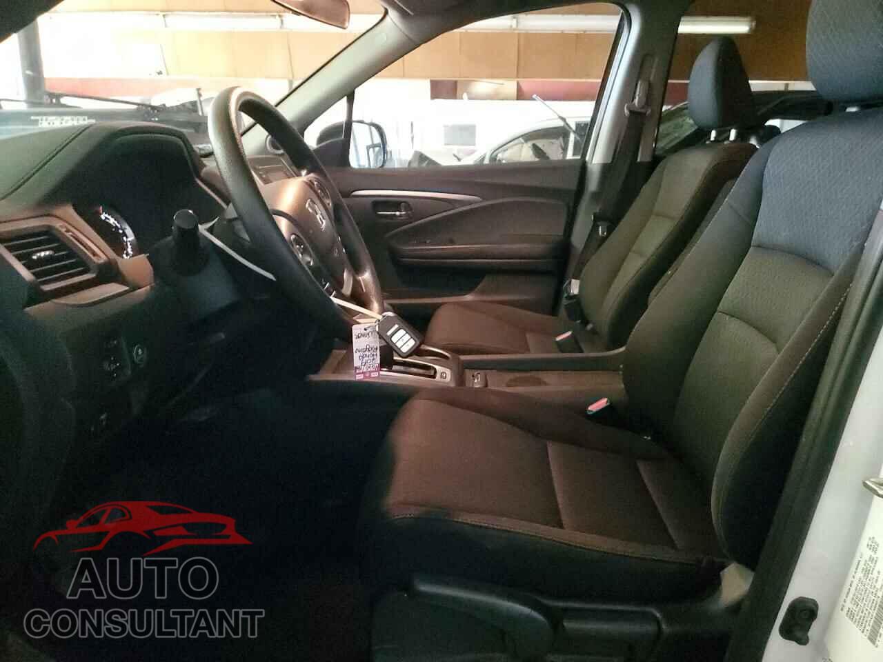 HONDA RIDGELINE 2019 - 5FPYK3F17KB043776