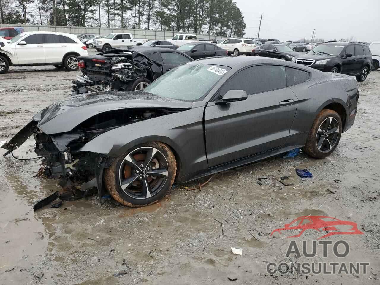 FORD MUSTANG 2019 - 1FA6P8THXK5191105