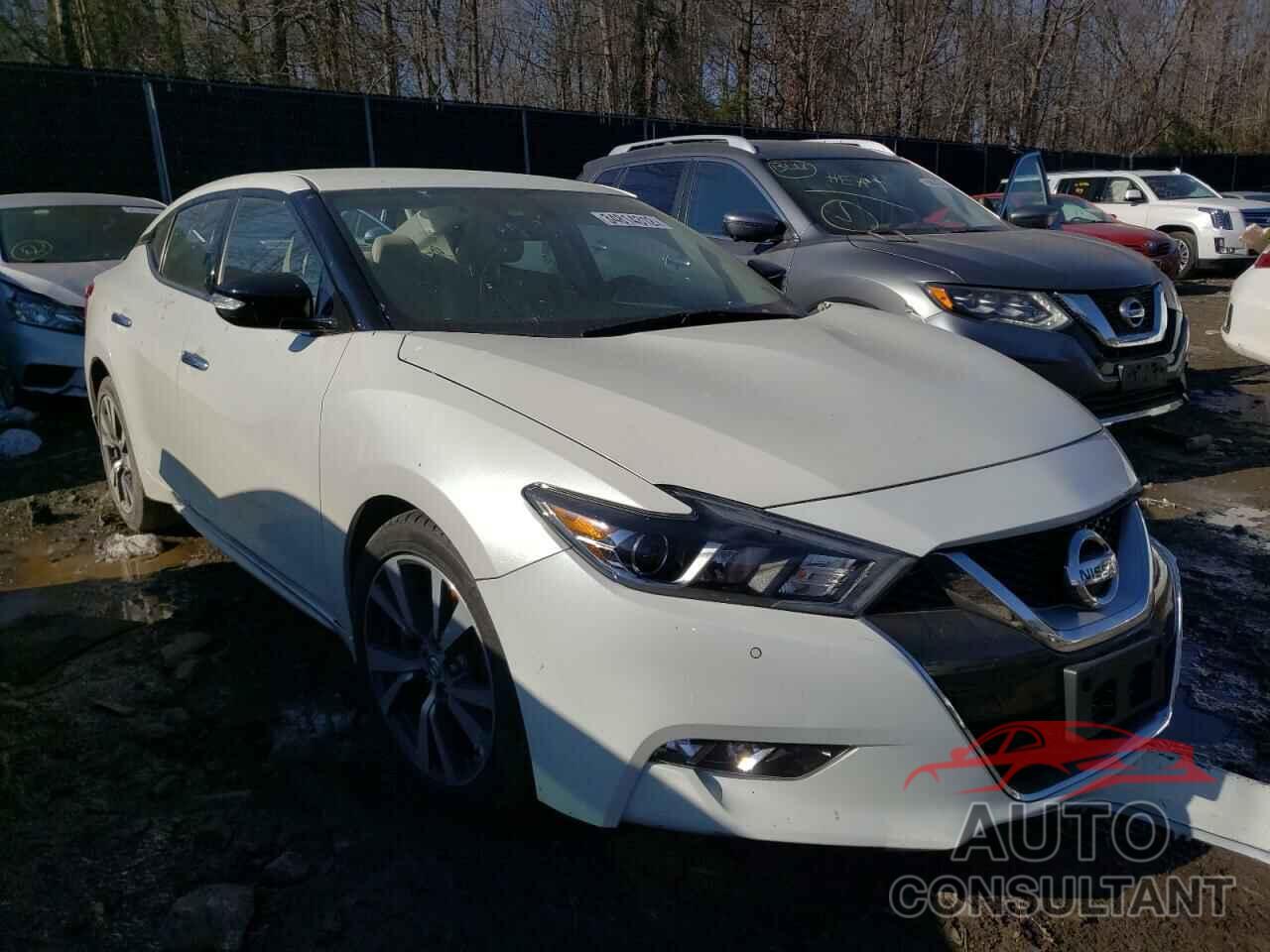 NISSAN MAXIMA 2017 - 1N4AA6AP6HC437050