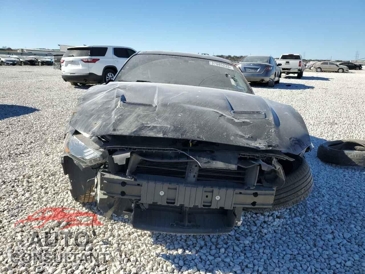 FORD MUSTANG 2019 - 1FA6P8TH3K5201876