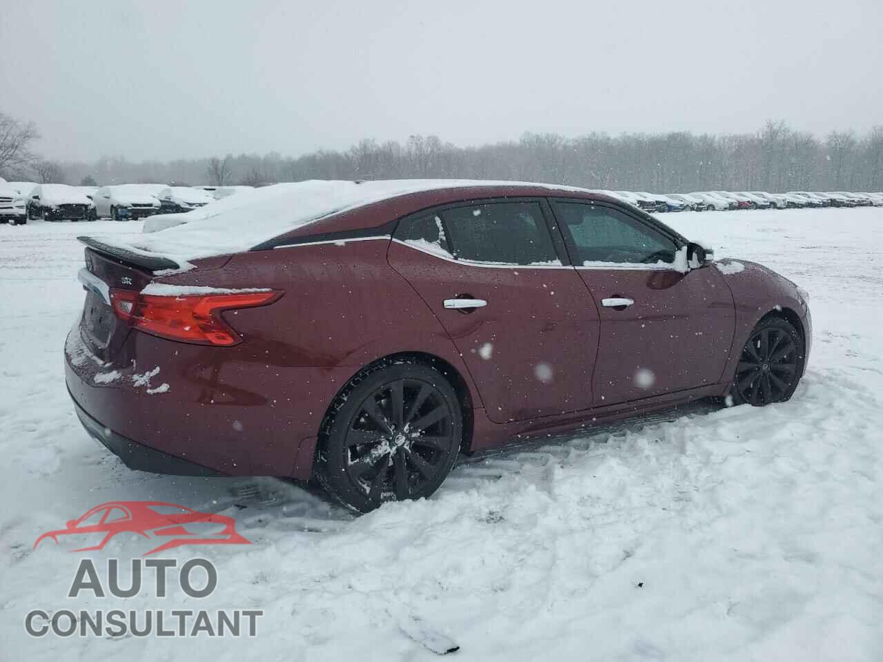 NISSAN MAXIMA 2017 - 1N4AA6AP7HC403165