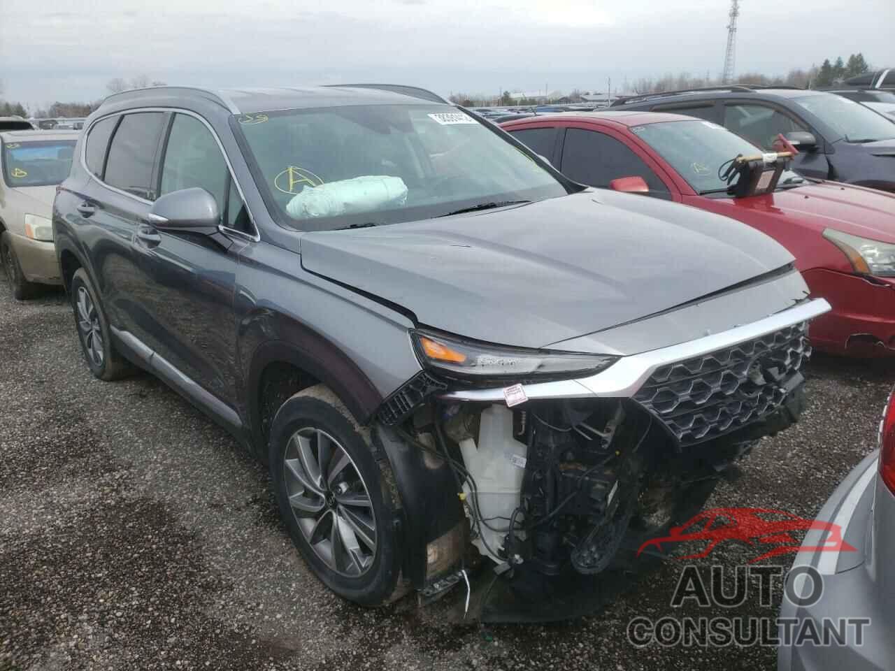 HYUNDAI SANTA FE 2019 - 5NMS3CAD5KH091093