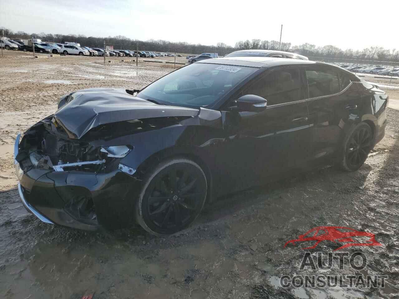 NISSAN MAXIMA 2019 - 1N4AA6AV5KC380300