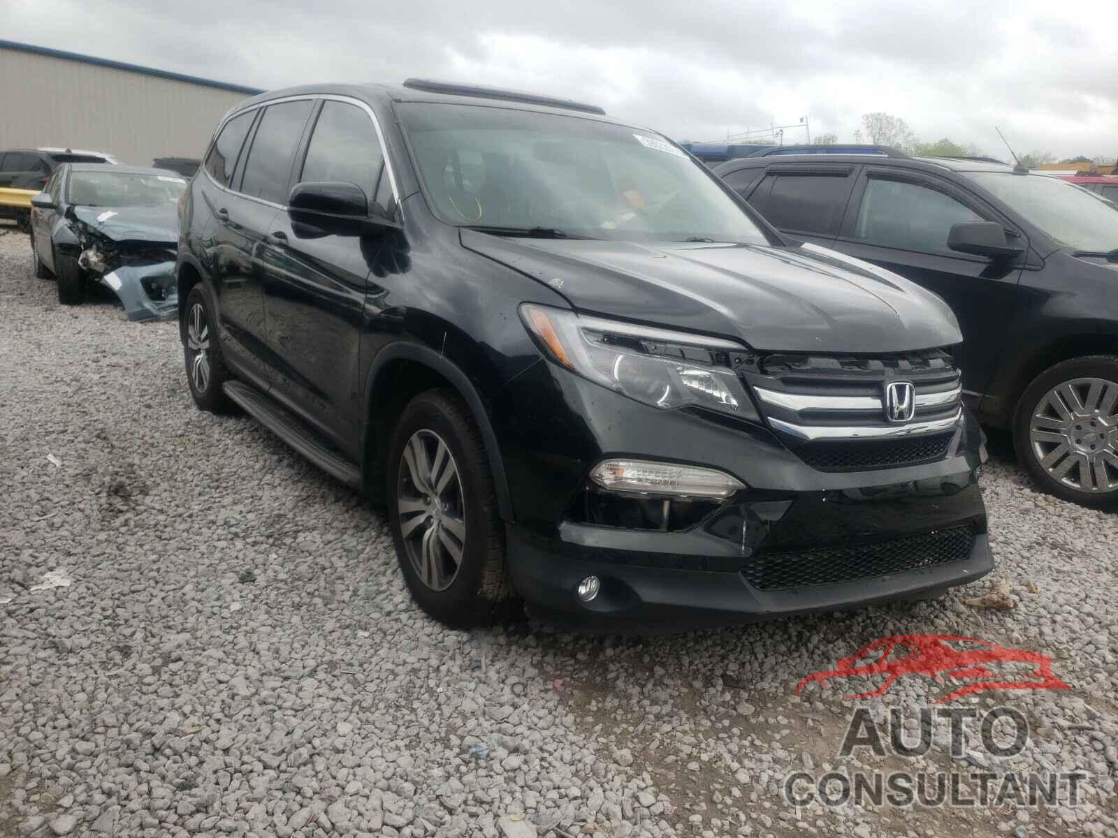 HONDA PILOT 2016 - 5FNYF5H52GB052000