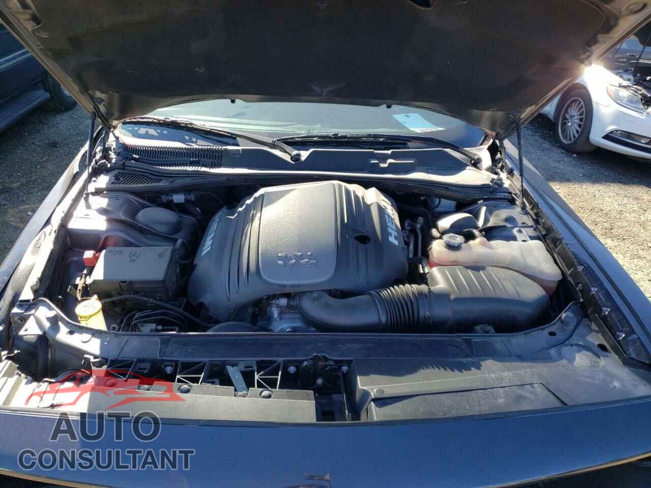 DODGE CHALLENGER 2019 - 2C3CDZBT5KH615935