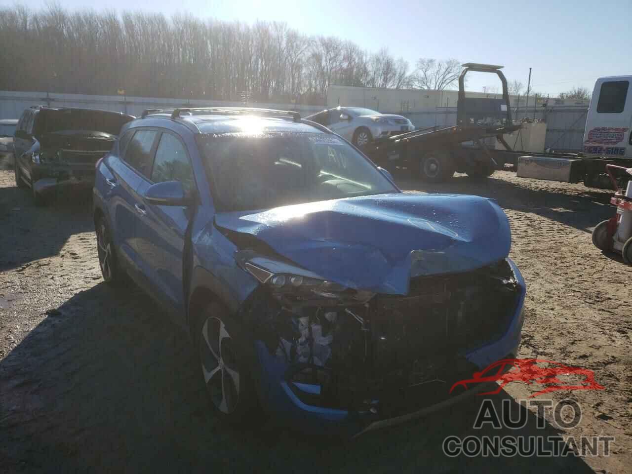 HYUNDAI TUCSON 2016 - KM8J33A24GU167151