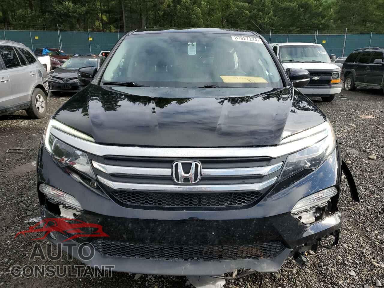 HONDA PILOT 2018 - 5FNYF6H58JB054749