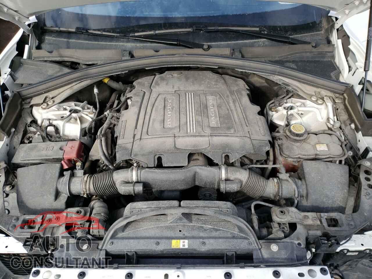 JAGUAR F-PACE 2019 - SADCM2FV2KA602674