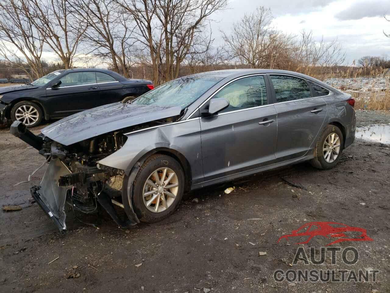HYUNDAI SONATA 2019 - 5NPE24AF2KH780504