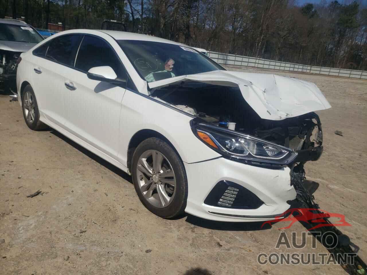 HYUNDAI SONATA 2019 - 5NPE34AF6KH782057
