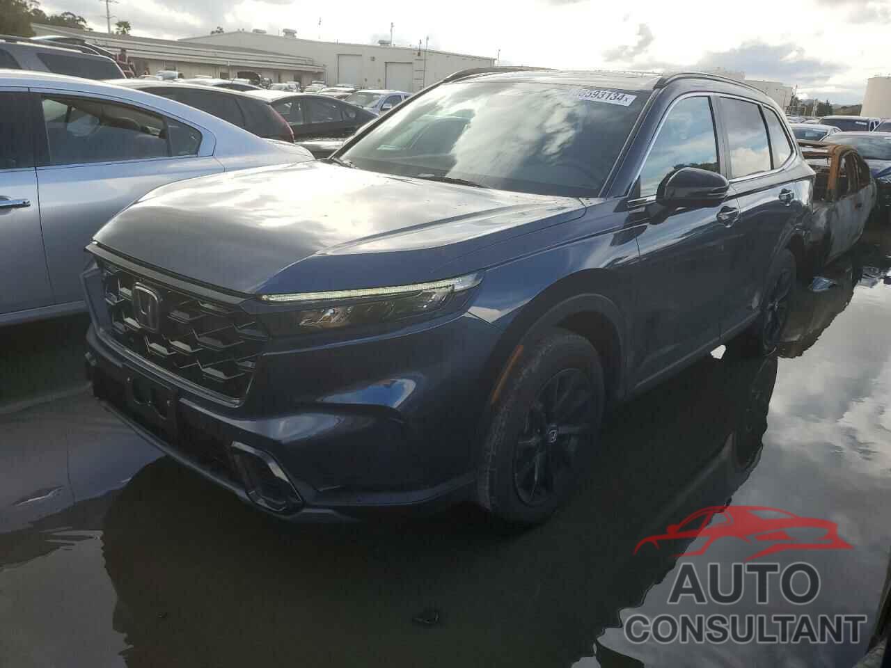 HONDA CRV 2024 - 7FARS6H51RE012830