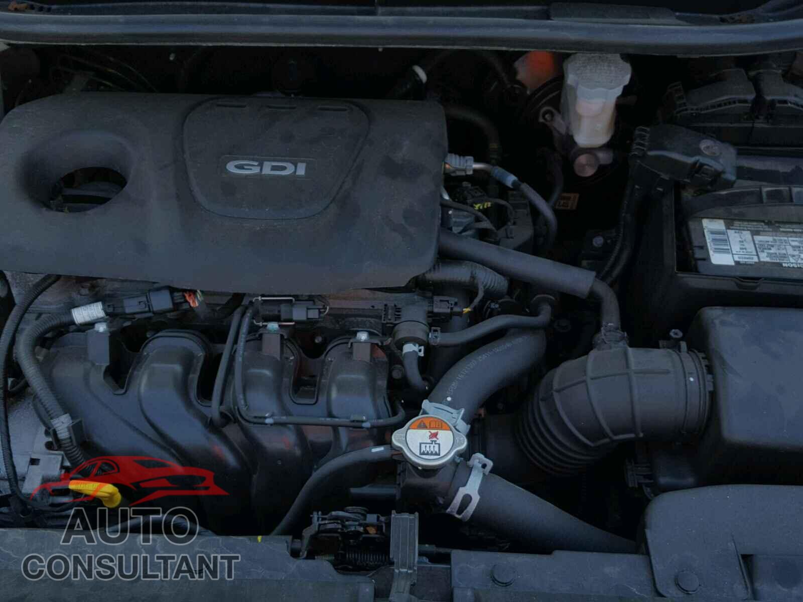 KIA RIO 2017 - KNADM4A30H6117864