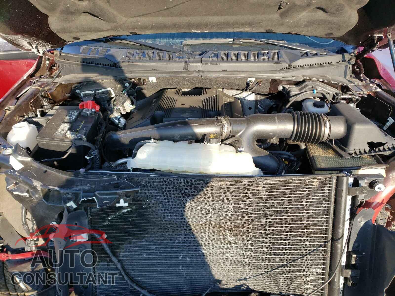 FORD F150 2019 - 1FTFW1E43KFA96331