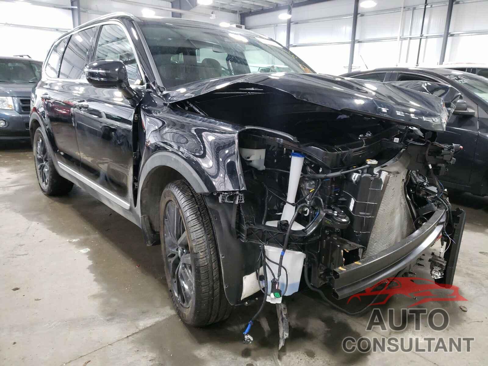 KIA TELLURIDE 2021 - 5XYP5DHC3MG108831