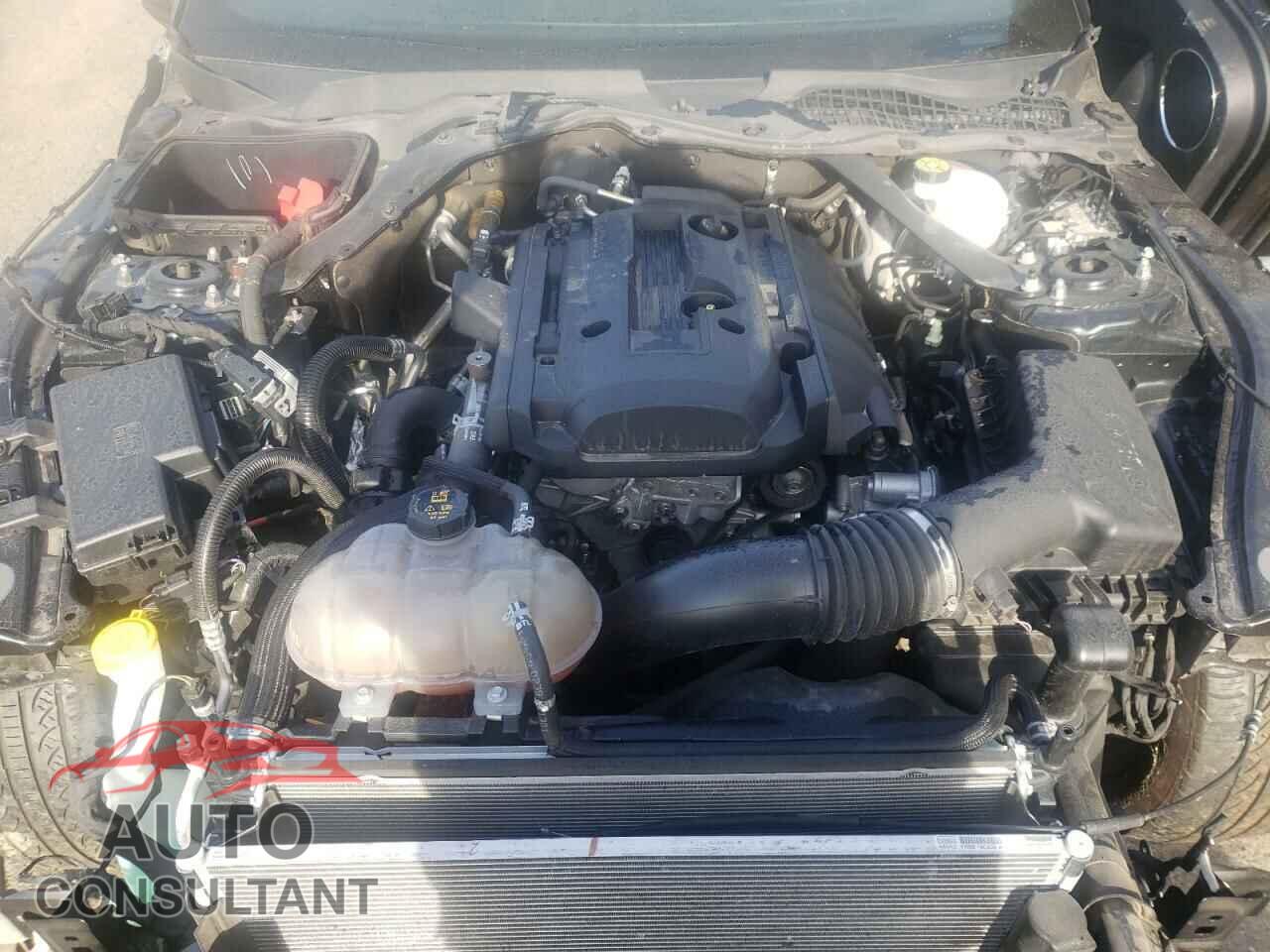 FORD MUSTANG 2019 - 1FATP8UH3K5158335