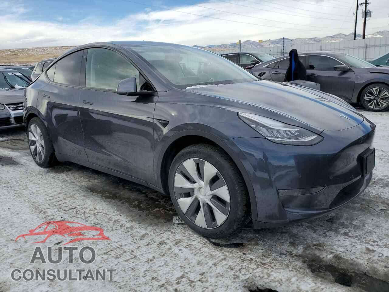 TESLA MODEL Y 2021 - 5YJYGDEE6MF079787