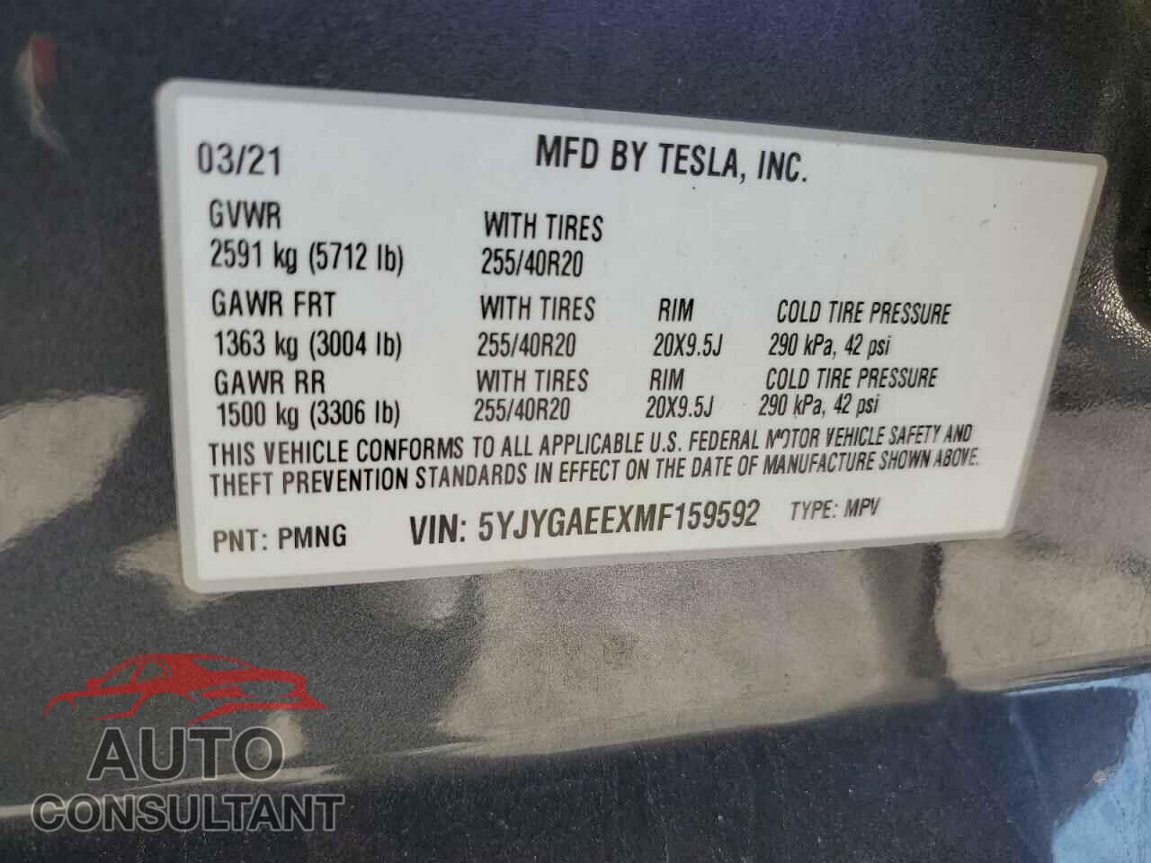 TESLA MODEL Y 2021 - 5YJYGAEEXMF159592