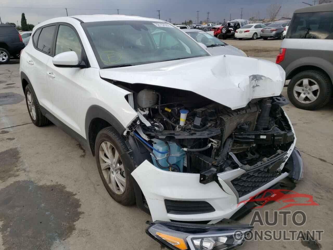 HYUNDAI TUCSON 2019 - KM8J23A48KU846935