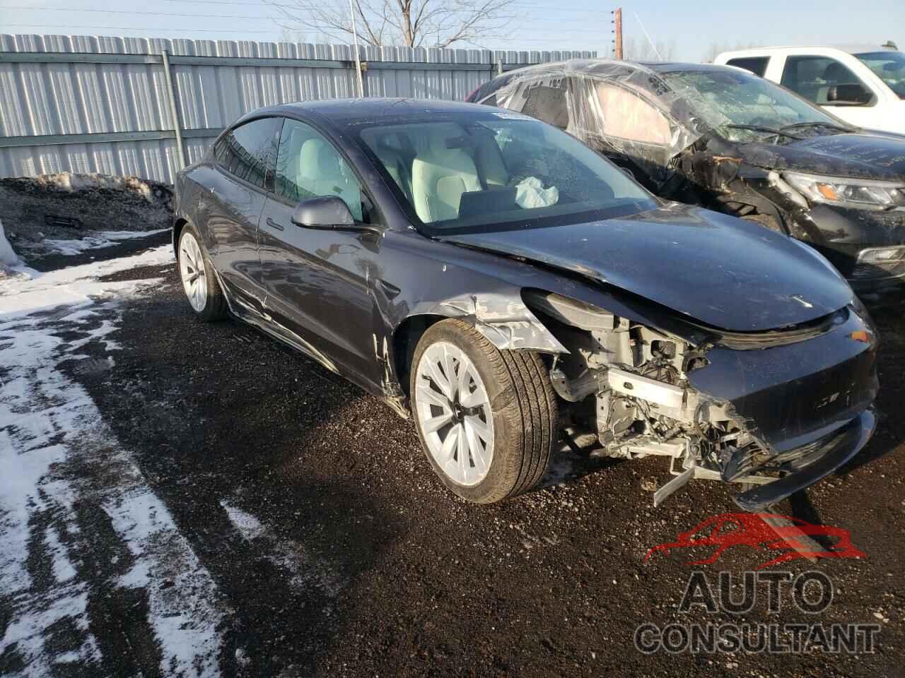 TESLA MODEL 3 2020 - 5YJ3E1EA1LF786659