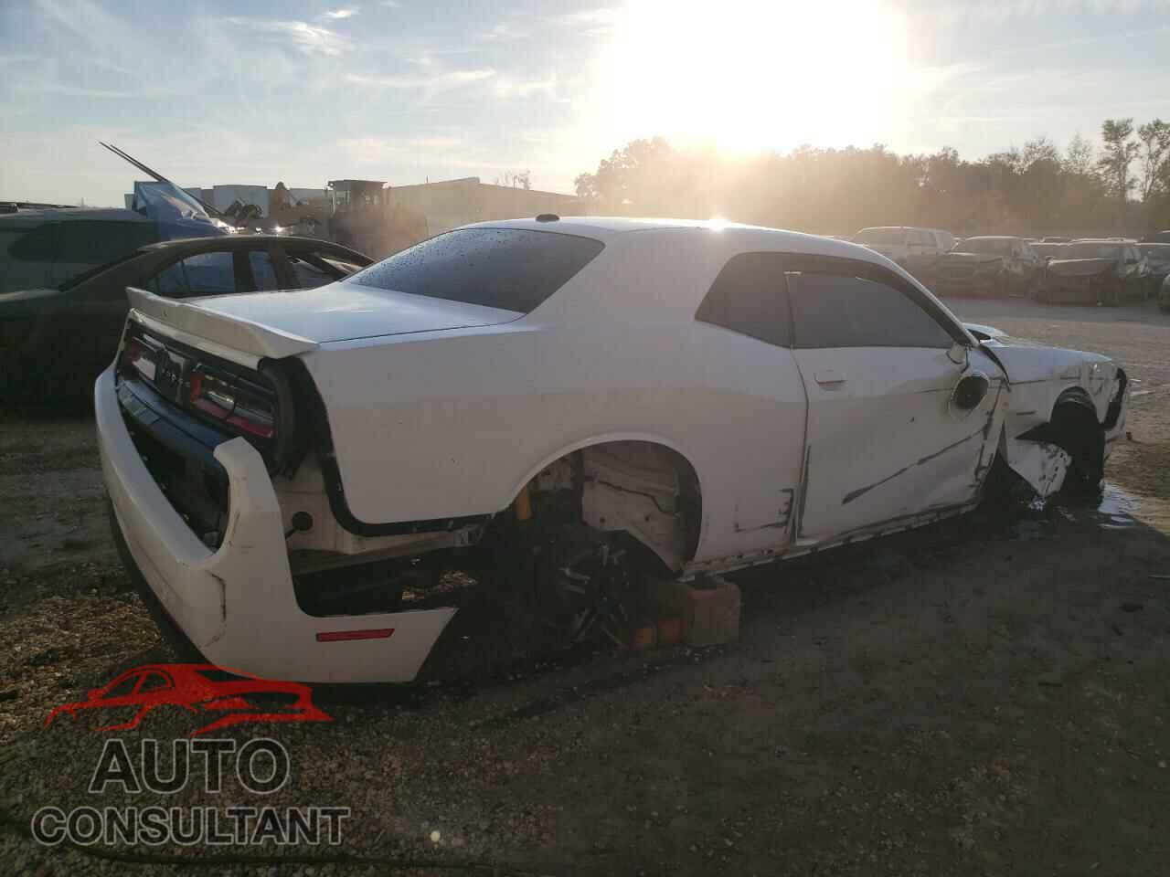 DODGE CHALLENGER 2019 - 2C3CDZBT8KH593784