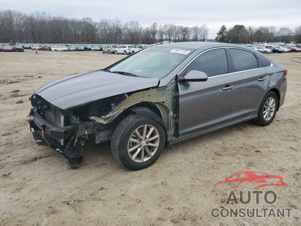 HYUNDAI SONATA 2019 - 5NPE24AF8KH806054